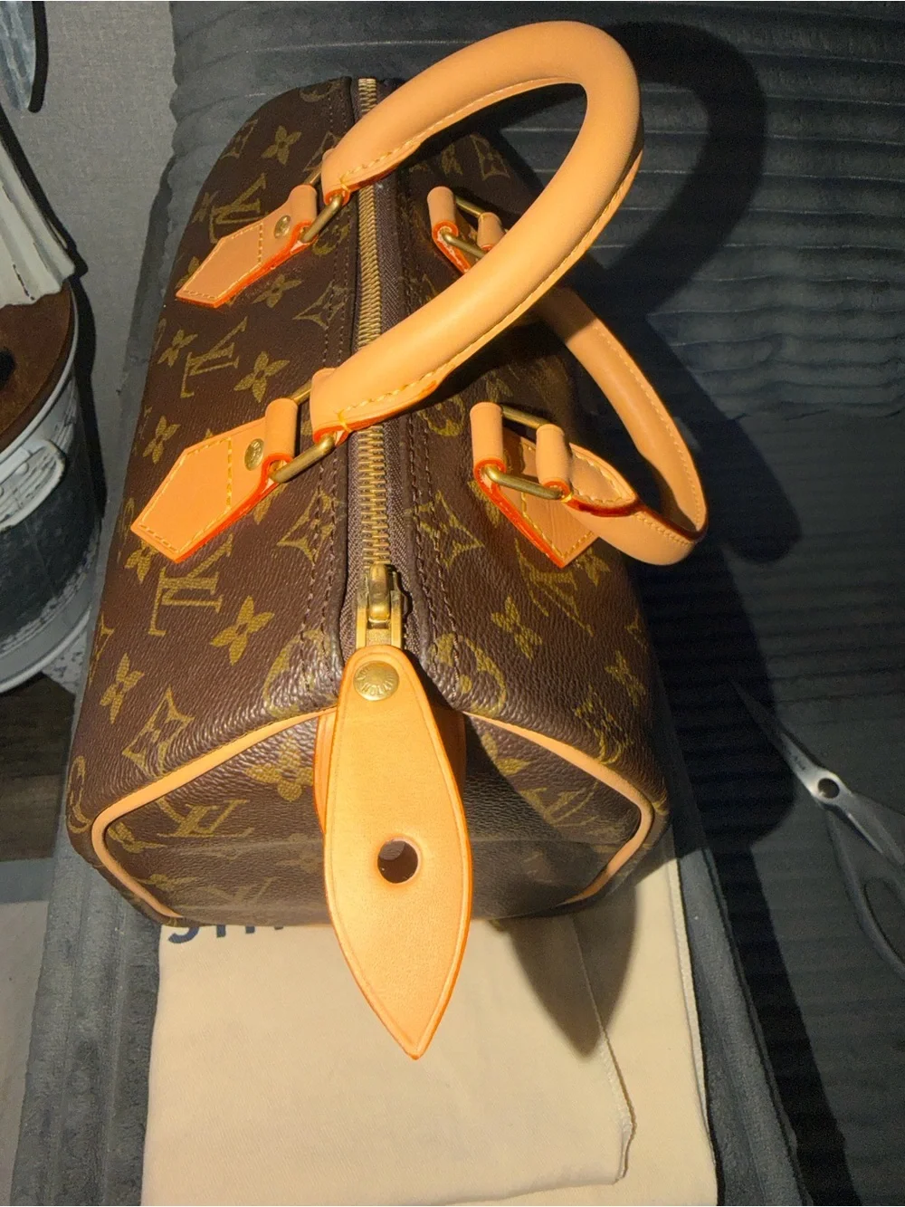 Louis Vuitton Speedy 25 bag